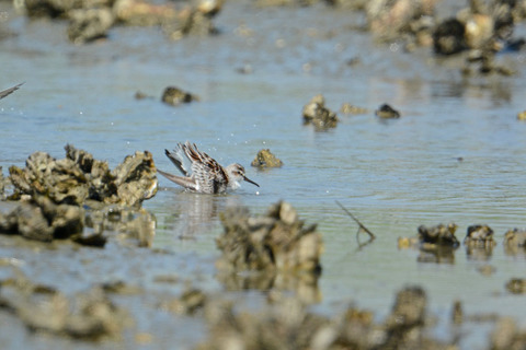 DSC_3821.jpg