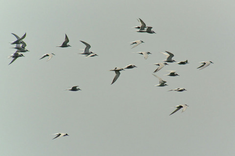 DSC_3854.jpg