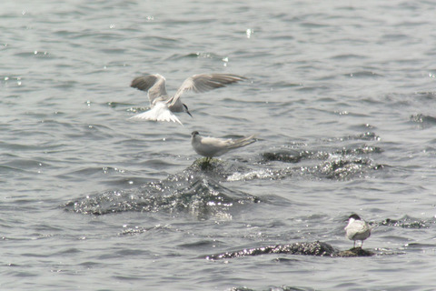 DSC_3864.jpg