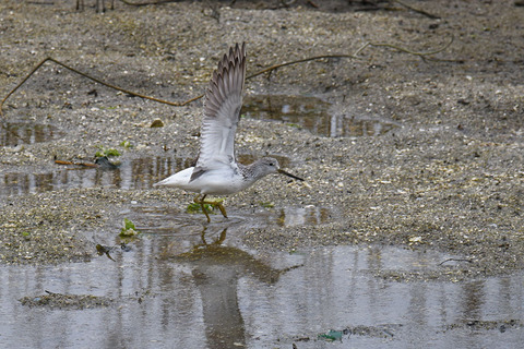 DSC_3868.jpg