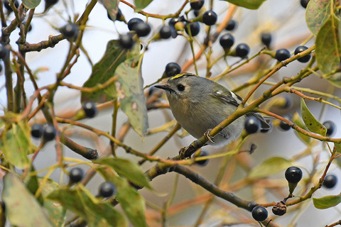 DSC_3869.jpg