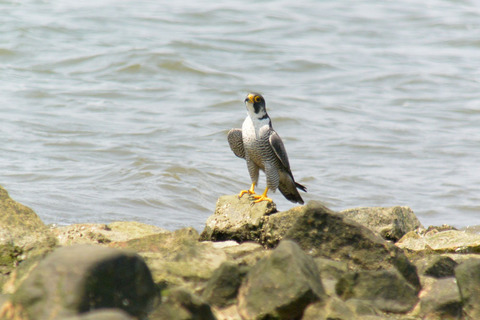 DSC_3886.jpg