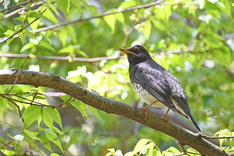 DSC_3939.jpg