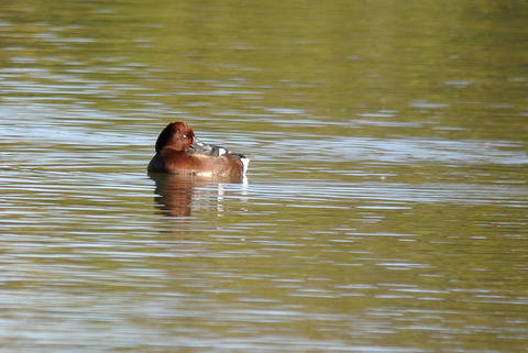 DSC_3940.jpg