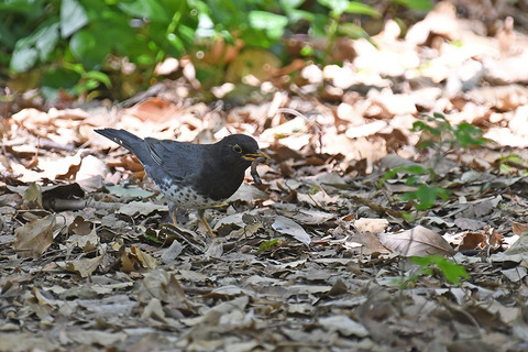 DSC_3983.jpg