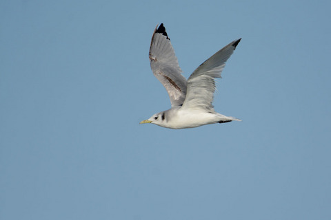 DSC_3987.jpg