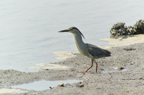 DSC_4016.jpg