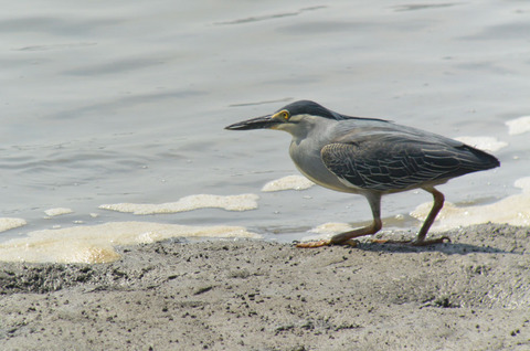 DSC_4030.jpg