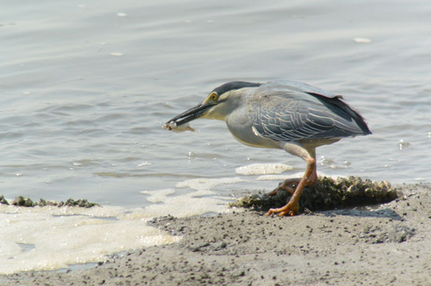 DSC_4034.jpg