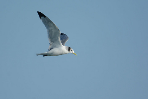 DSC_4050.jpg