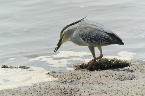 DSC_4053.jpg