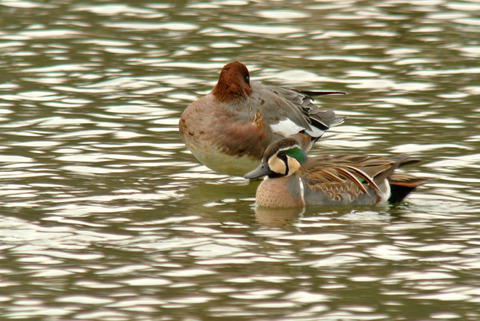 DSC_4053.jpg