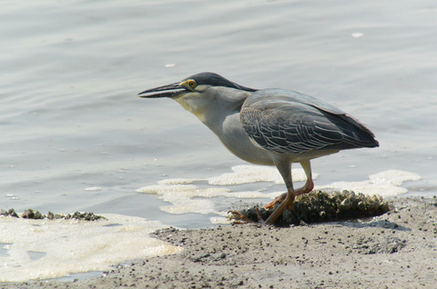 DSC_4055.jpg