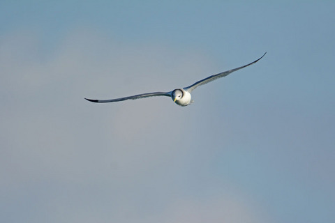 DSC_4064.jpg
