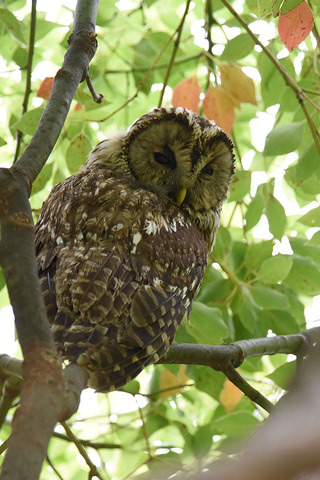 DSC_4076.jpg