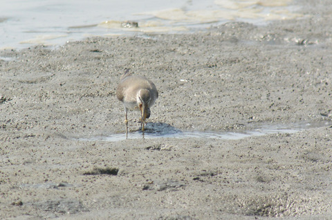 DSC_4089.jpg