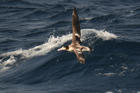 DSC_4174.jpg