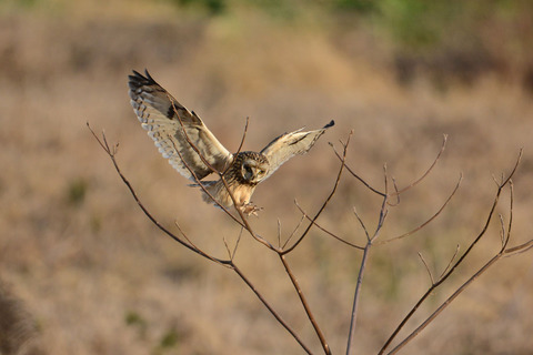 DSC_4187.jpg