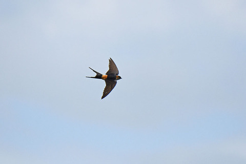 DSC_4214.jpg