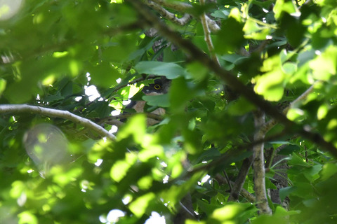 DSC_4262.jpg