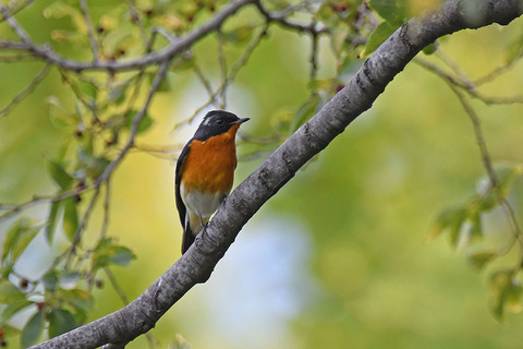 DSC_4286.jpg