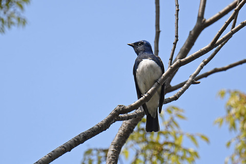 DSC_4510.jpg