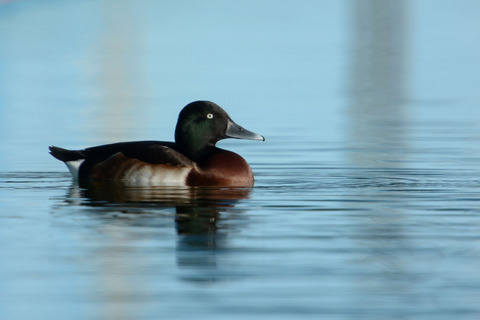 DSC_4526.jpg