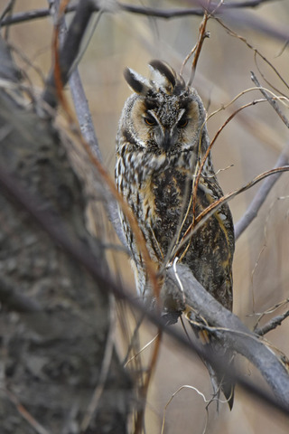 DSC_4547.jpg