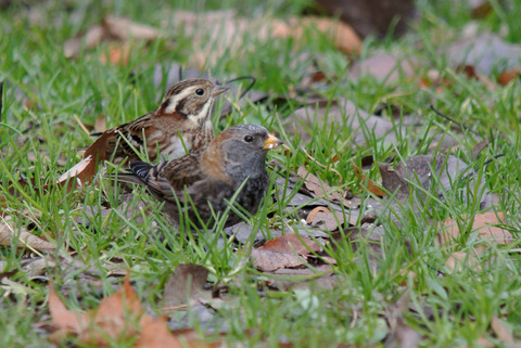 DSC_4547.jpg