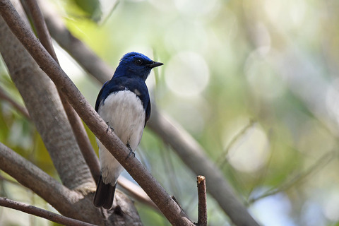 DSC_4582.jpg
