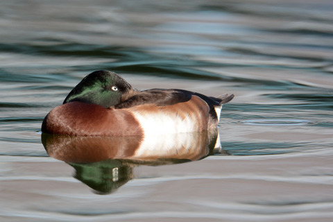 DSC_4605.jpg