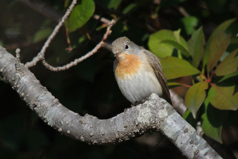 DSC_4677.jpg