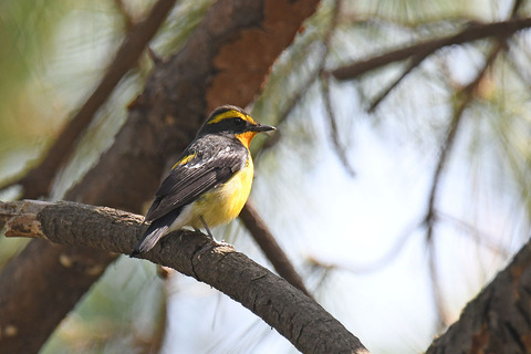 DSC_4706.jpg