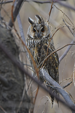 DSC_4721.jpg