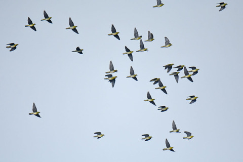 DSC_4739.jpg