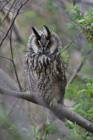 DSC_4758.jpg