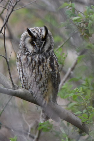 DSC_4775.jpg
