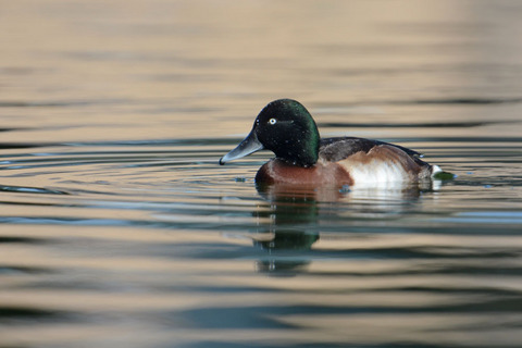 DSC_4777.jpg
