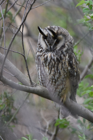 DSC_4785.jpg