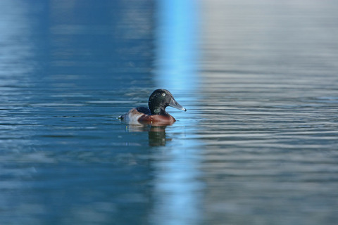 DSC_4797.jpg