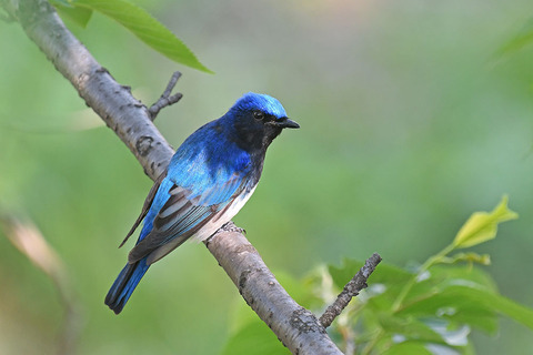 DSC_4829.jpg