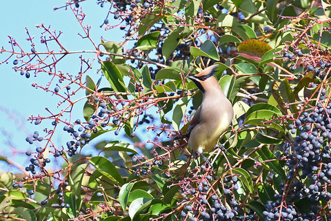 DSC_4970.jpg