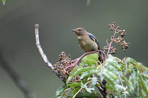 DSC_5017.jpg