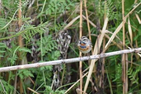 DSC_5018.jpg