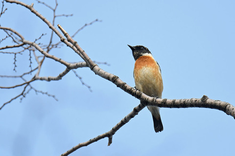 DSC_5050.jpg