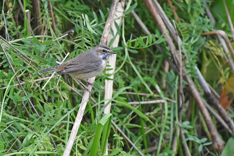 DSC_5057.jpg