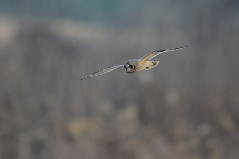 DSC_5079.jpg