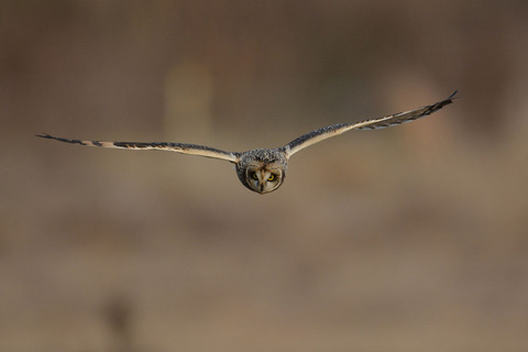 DSC_5143.jpg
