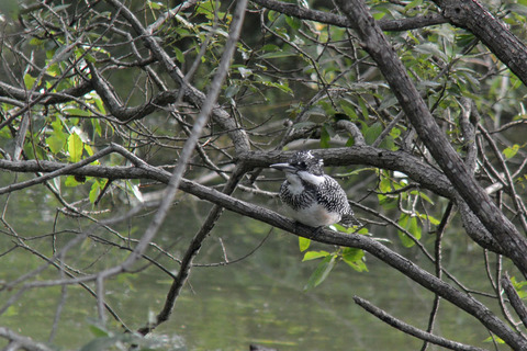 DSC_5271.jpg