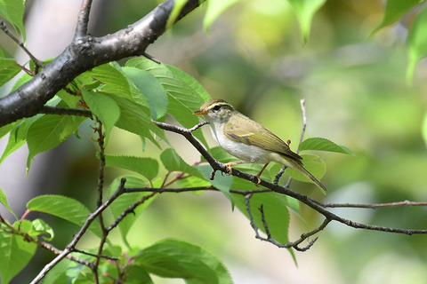 DSC_5289.jpg